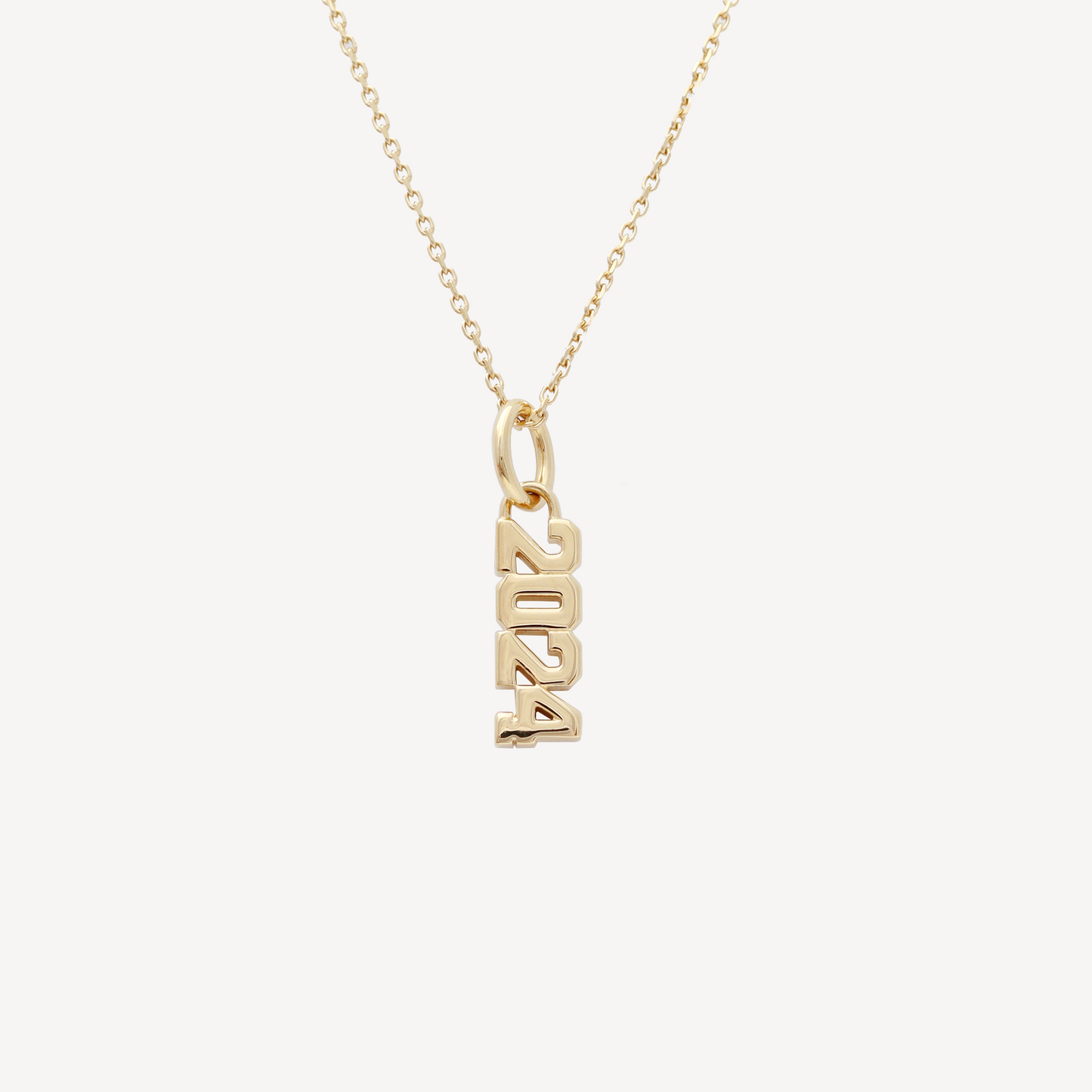 Gold  2024 Year Charm Necklace