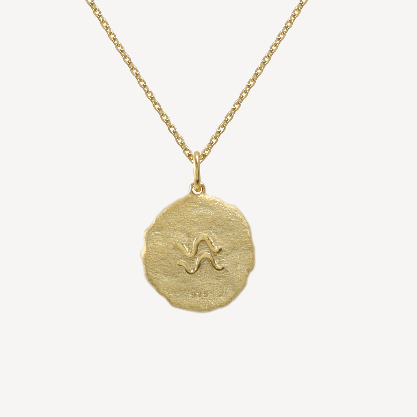 Aquarius Zodiac Pendant Necklace