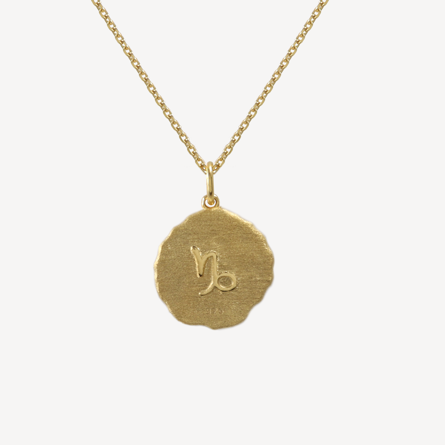 Capricorn Zodiac Pendant Necklace