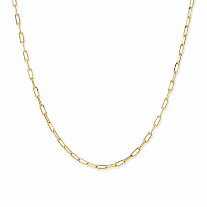 Mini Kelly Taylor Paperclip Necklace
