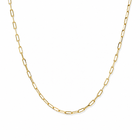 Mini Kelly Taylor Paperclip Necklace
