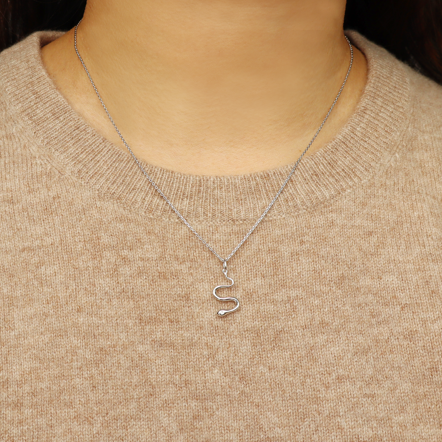 Silver Snake Necklace